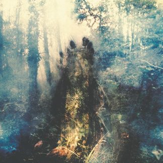 SYLVAINE - Wistful CD DIGIPAK