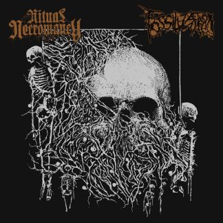 RITUAL NECROMANCY _ FOSSILIZATION - Split MCD